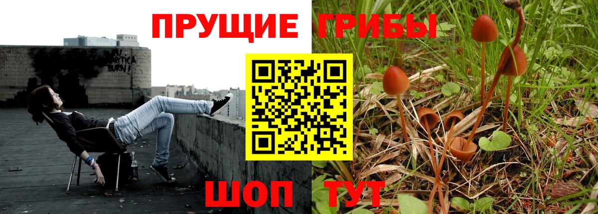 Галлюциногенные грибы мицелий Коломна