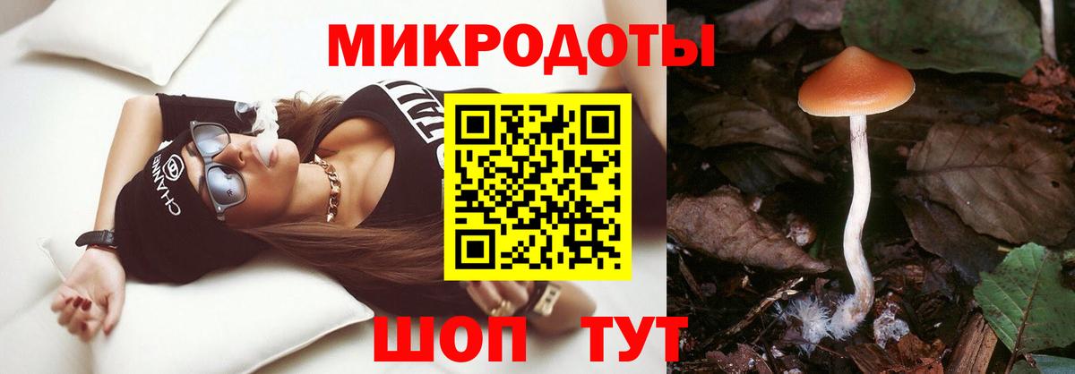 Коломна  Псилоцибиновые грибы Psilocybine cubensis  Вход с VPN 